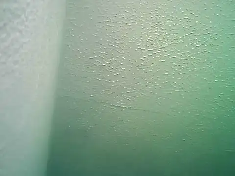 Snapshot of SexDiffrent chatting on February 2026 01:55:01 PM SexDiffrent online show from February 2026 01:55:01 PM