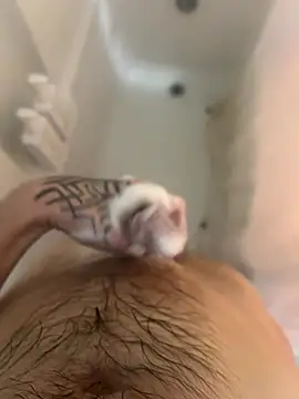 Snapshot of ThatTattooedGuy chatting on December 2025 08:52:01 AM ThatTattooedGuy online show from December 2025 08:52:01 AM