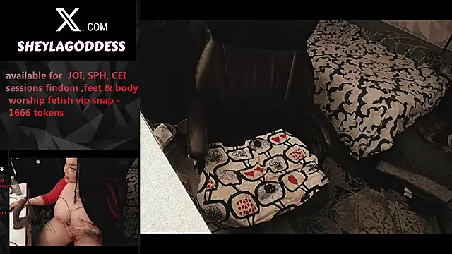 Snapshot of sheylagoddess11 chatting on March 2026 04:49:01 AM sheylagoddess11 online show from March 2026 04:49:01 AM