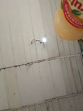 Kanekki2 online show from March 2026 12:49:02 PM