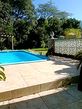 dutra498 online show from February 2026 07:18:01 PM