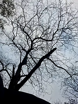 Snapshot of Keli_Jessi chatting on November 2025 01:33:02 PM Keli Jessi online show from November 2025 01:33:02 PM