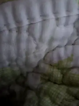 sutgibihatun online show from October 2025 07:59:01 PM