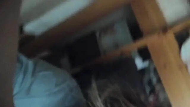 FrumCake online show from March 2025 10:00:02 AM