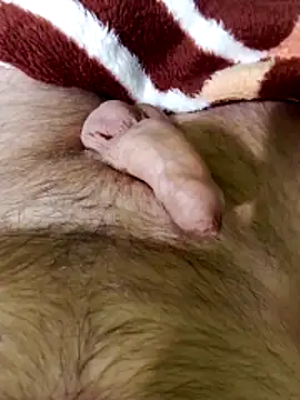 Robertvirt online show from February 2026 11:06:02 AM