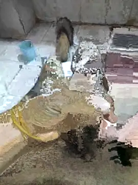 My120my120 online show from December 2025 11:56:01 PM