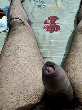 vishnuvinod india online show from November 2025 02:13:01 PM