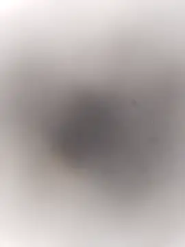 Snapshot of Pitercom chatting on September 2025 03:46:01 PM Pitercom online show from September 2025 03:46:01 PM