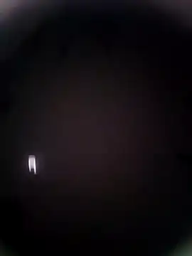 Snapshot of Pitercom chatting on September 2025 07:49:02 PM Pitercom online show from September 2025 07:49:02 PM