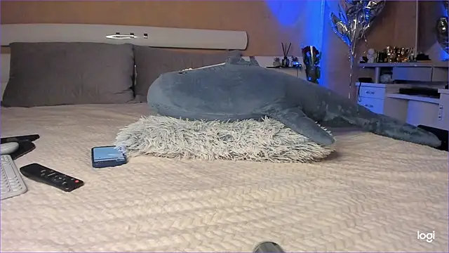 Diamond D  online show from October 2025 05:03:01 PM