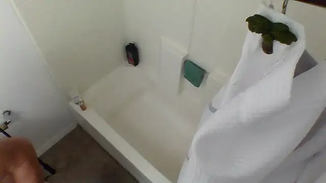 Snapshot of Yankeedave420 chatting on January 2025 03:47:02 AM Yankeedave420 online show from January 2025 03:47:02 AM