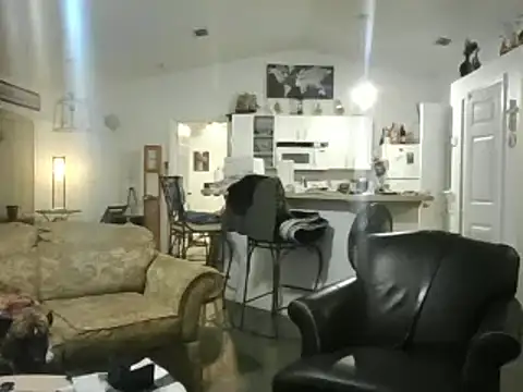 Snapshot of Yankeedave420 chatting on February 2025 01:58:02 AM Yankeedave420 online show from February 2025 01:58:02 AM