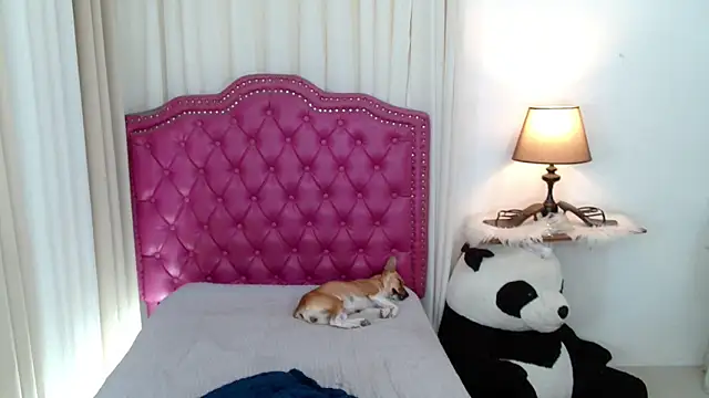 DreamLADYBOY online show from February 2026 02:15:02 AM