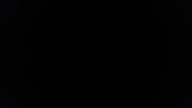 palidin1 online show from November 2025 10:37:02 AM