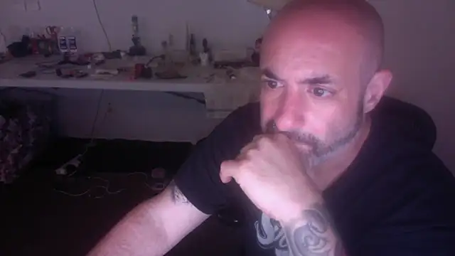 palidin1 online show from July 2026 09:17:01 PM