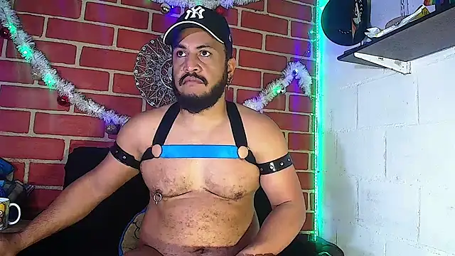 Snapshot of the_master_foal_ chatting on December 2024 03:37:01 PM the master foal online show from December 2024 03:37:01 PM