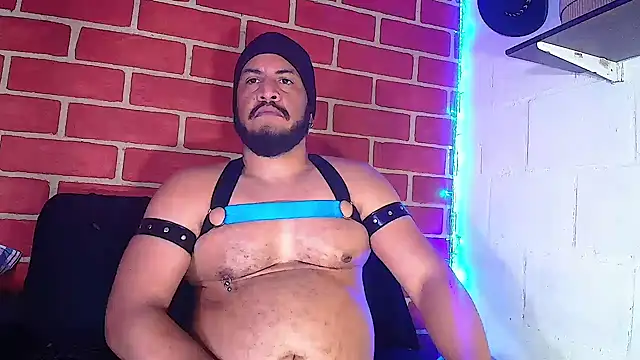 Snapshot of the_master_foal_ chatting on January 2025 04:11:01 PM the master foal online show from January 2025 04:11:01 PM