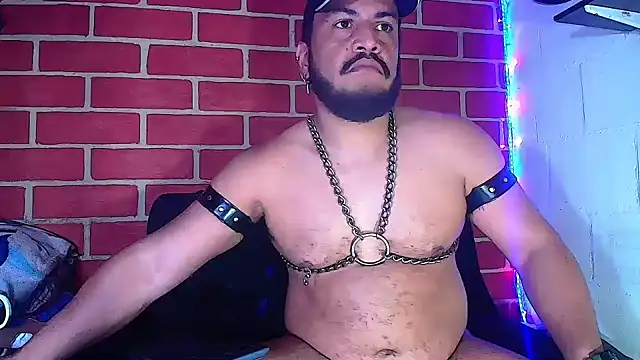 Snapshot of the_master_foal_ chatting on January 2025 05:26:02 AM the master foal online show from January 2025 05:26:02 AM