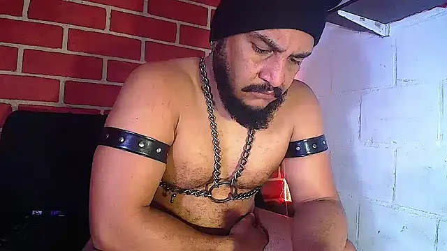 Snapshot of the_master_foal_ chatting on January 2025 05:01:01 PM the master foal online show from January 2025 05:01:01 PM