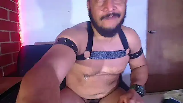 Snapshot of the_master_foal_ chatting on February 2025 08:18:02 AM the master foal online show from February 2025 08:18:02 AM