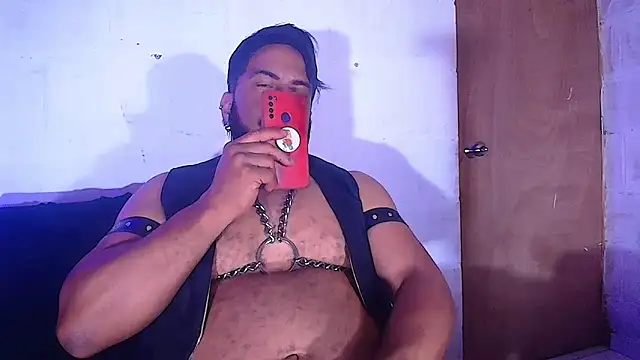 Snapshot of the_master_foal_ chatting on February 2025 08:31:01 AM the master foal online show from February 2025 08:31:01 AM