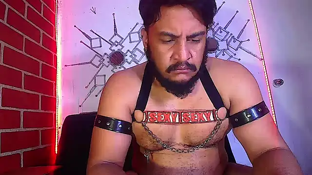 Snapshot of the_master_foal_ chatting on February 2025 11:05:01 AM the master foal online show from February 2025 11:05:01 AM