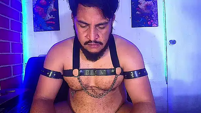 Snapshot of the_master_foal_ chatting on February 2025 07:50:01 AM the master foal online show from February 2025 07:50:01 AM