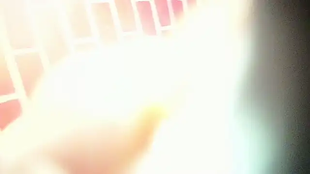 Snapshot of the_master_foal_ chatting on March 2025 04:19:01 AM the master foal online show from March 2025 04:19:01 AM