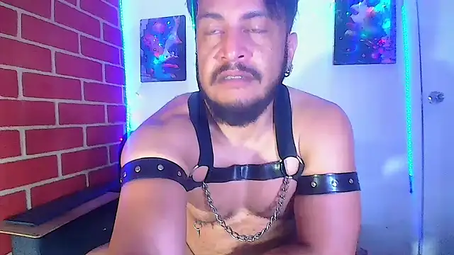 Snapshot of the_master_foal_ chatting on March 2025 04:57:02 AM the master foal online show from March 2025 04:57:02 AM