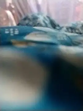 Rajxxxdx4u online show from January 2026 09:42:02 PM