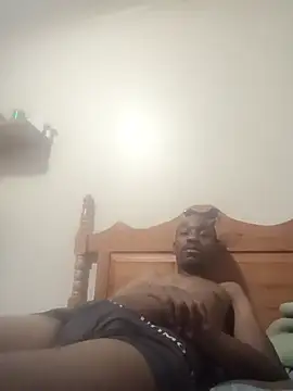 Dibobo4 online show from February 2026 08:04:01 PM