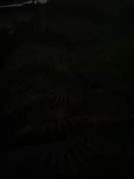 bomakrn online show from November 2025 10:38:02 AM