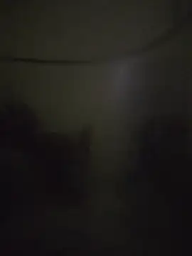 landy20cm online show from October 2025 10:49:01 AM