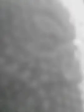 Sexilvenia online show from May 2026 10:28:01 PM