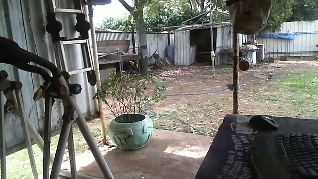 herbie010666 online show from September 2025 03:29:01 AM