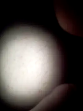 commonjust online show from November 2025 05:19:02 AM