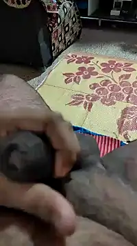 Swift2006 online show from February 2025 04:11:02 AM