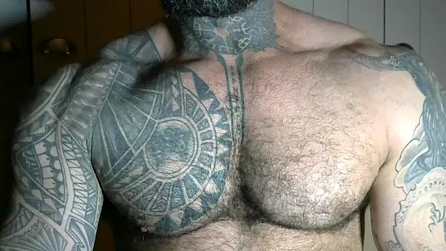 Snapshot of muscle1976 chatting on September 2025 08:45:02 PM muscle1976 online show from September 2025 08:45:02 PM