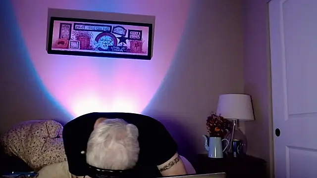 Snapshot of Snarfle82 chatting on November 2025 06:52:01 AM Snarfle82 online show from November 2025 06:52:01 AM