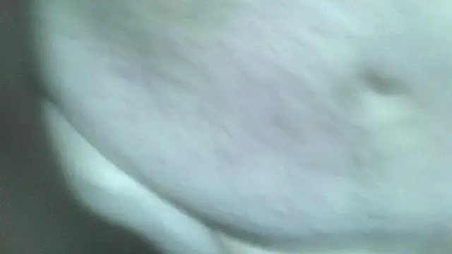 fishhead2100 online show from December 2025 07:24:01 AM