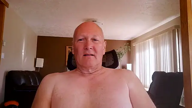 BasicAnt online show from June 2026 02:08:02 PM