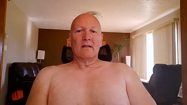 BasicAnt online show from June 2026 02:36:01 PM