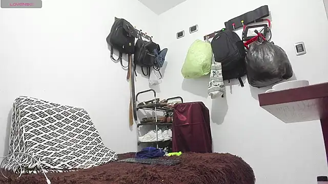 perla jeff online show from May 2026 10:31:02 AM