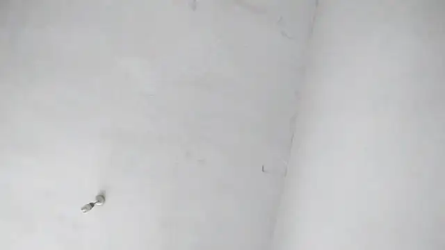 Jigolo mustafa online show from September 2025 11:37:02 AM