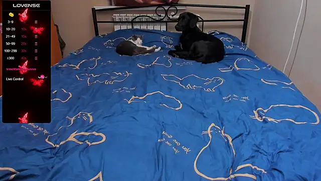 eva zero online show from October 2025 03:32:02 PM