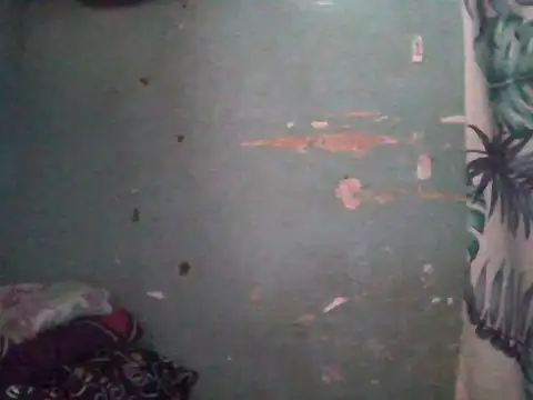 Silly Girl21 online show from February 2026 04:22:01 AM