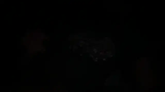 Snapshot of waveonce- chatting on December 2025 07:36:02 AM waveonce- online show from December 2025 07:36:02 AM