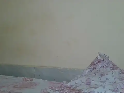 Snapshot of sexyjanett chatting on April 2026 05:50:01 PM sexyjanett online show from April 2026 05:50:01 PM