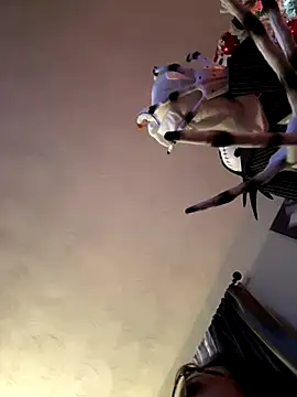 Snapshot of annablisss chatting on December 2024 11:25:01 PM annablisss online show from December 2024 11:25:01 PM