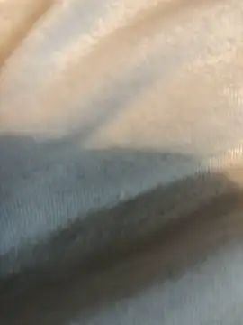 Hugetings online show from January 2025 08:54:01 PM